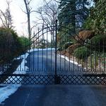 automatic bi-parting driveway gate